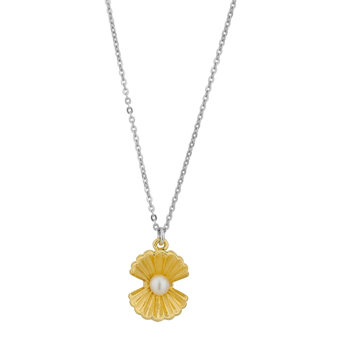 Seashell Necklace